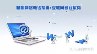 國內與國外網絡電話技術服務的深度對比分析